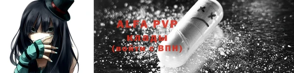 эйфоретик Пересвет
