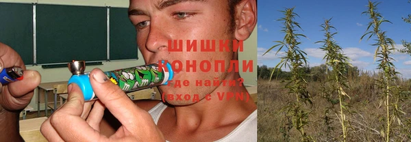 эйфоретик Переславль-Залесский