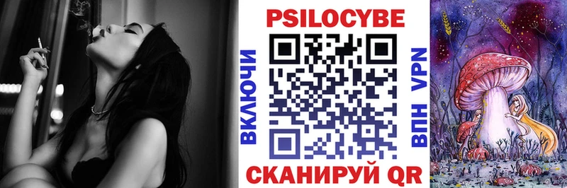 Псилоцибиновые грибы Cubensis магазин продажи Торжок